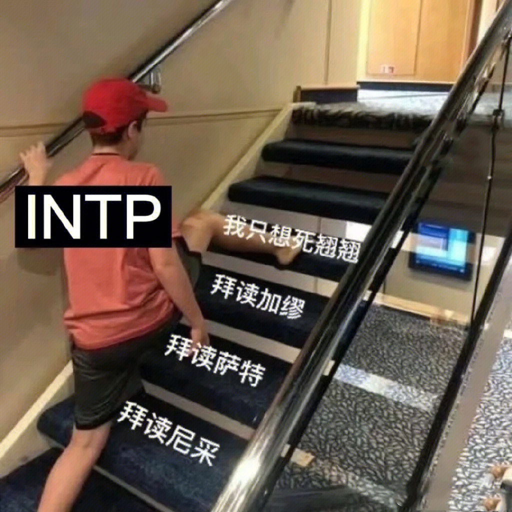 intp梗图片