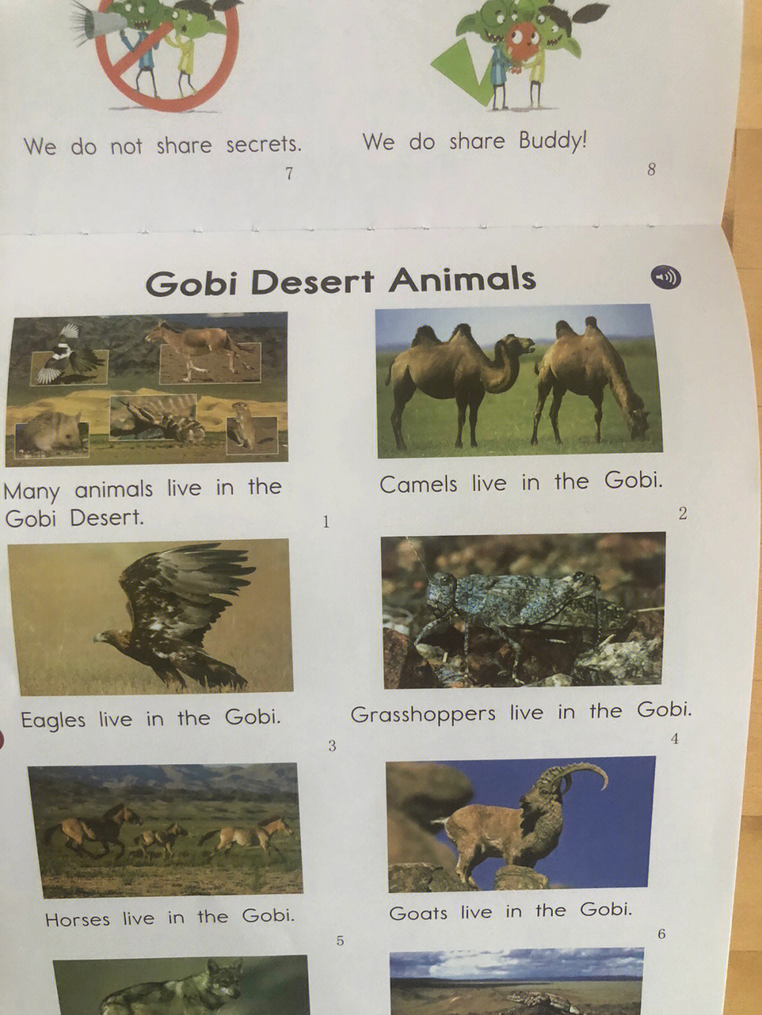 gobi desert animals图片