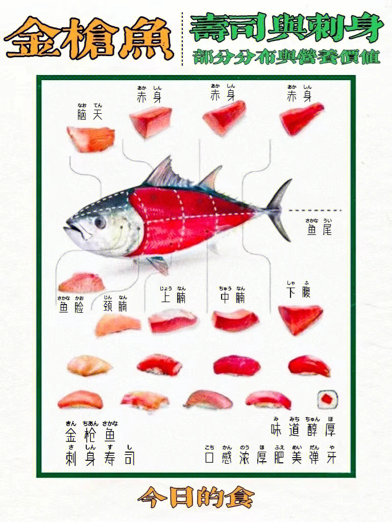 金枪鱼刺生与寿司の部位分解营养价值