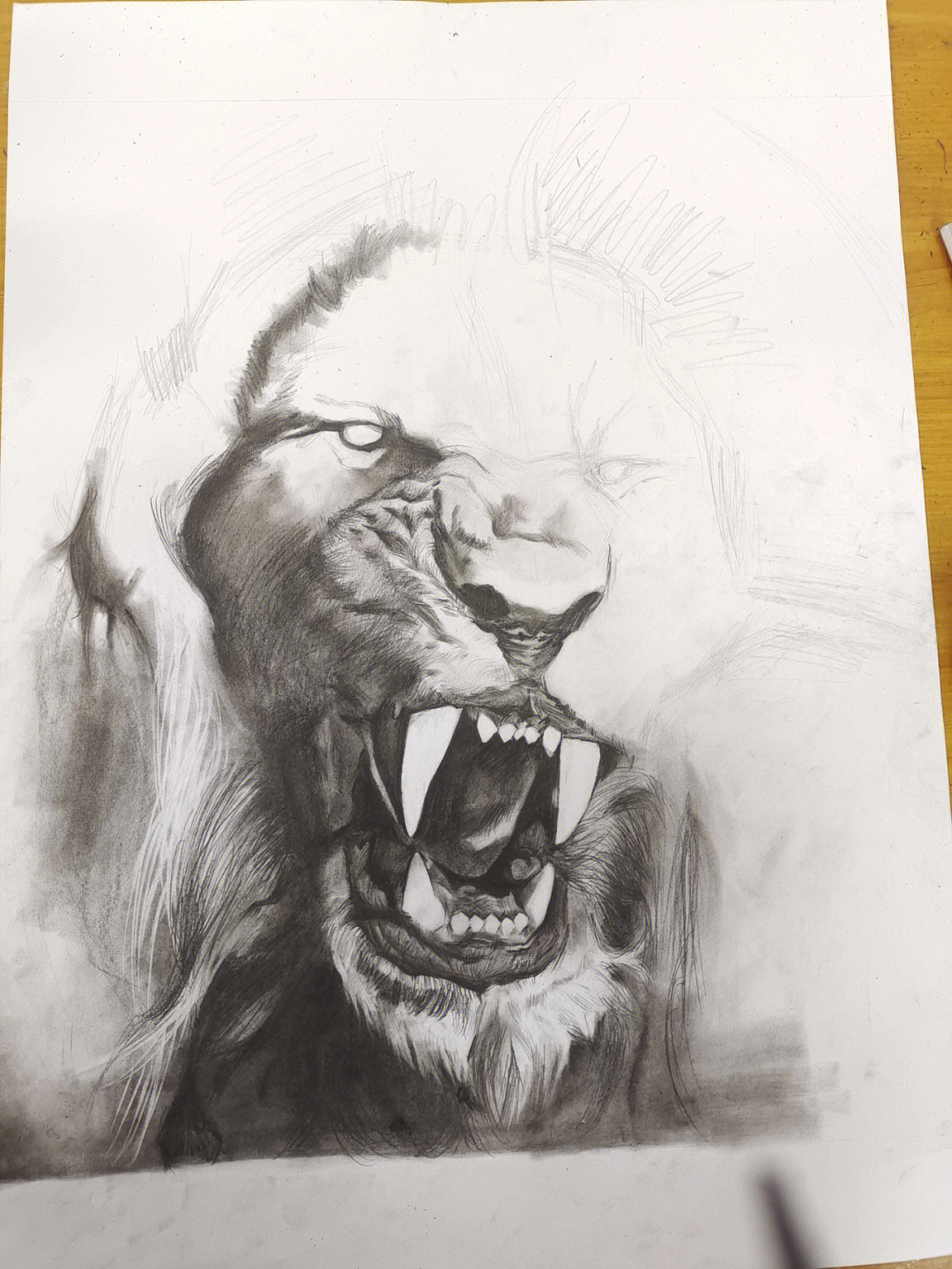 狮子头素描画法步骤图图片