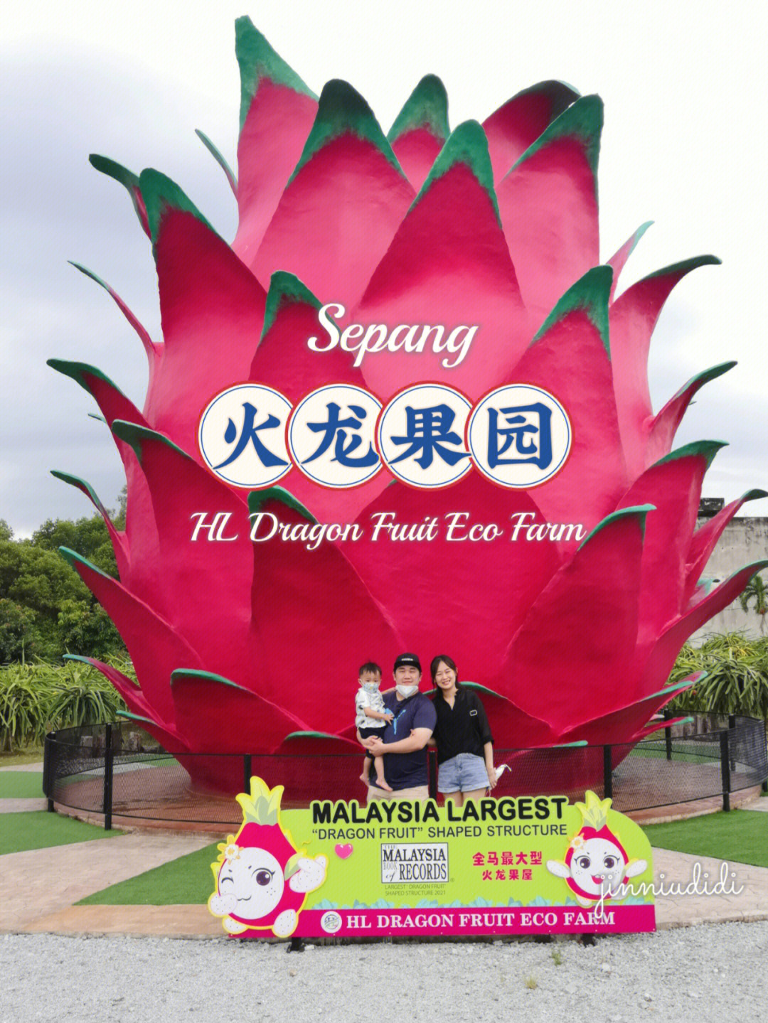 火龙果园亲子游76hldragonfruit