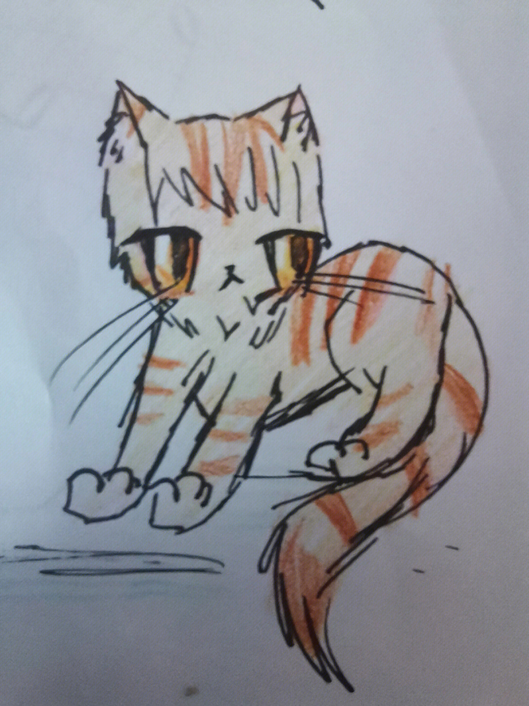 猫武士图片手绘萌版图片