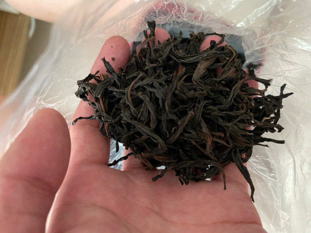 凤凰单丛茶#茶饮#茶知识#茶文化#喝茶日常#泡一壶好茶