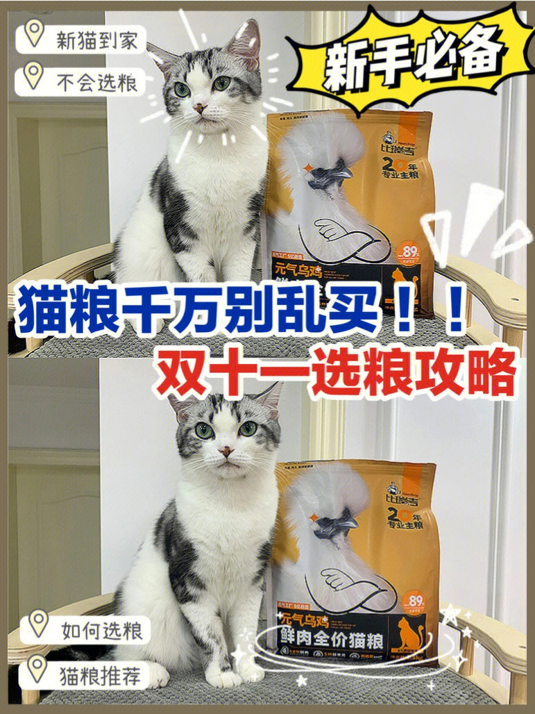 猫粮千万别乱买7575双十一选粮攻略