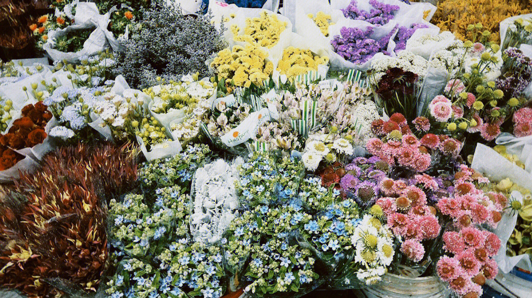 北京花花世界花卉市场图片