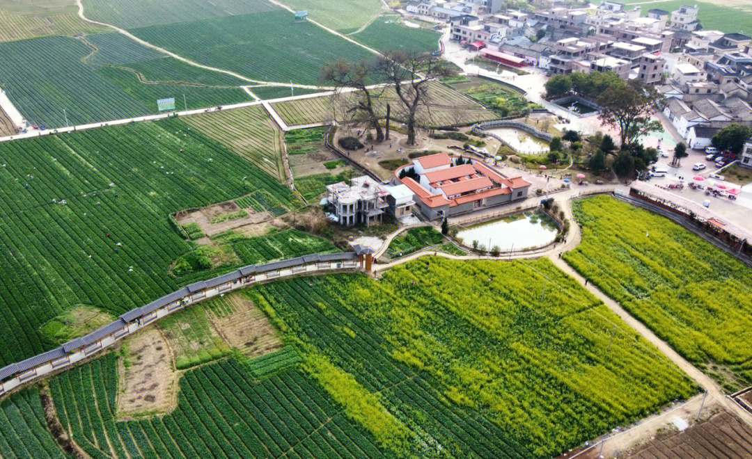 新丰秀田小学图片