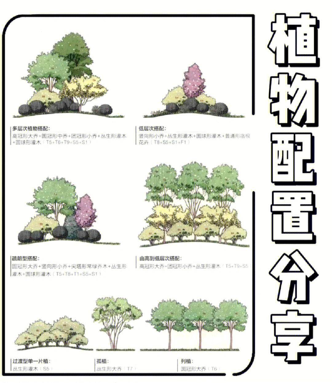 快来抄作业庭院花境绿植四种形式立面参考