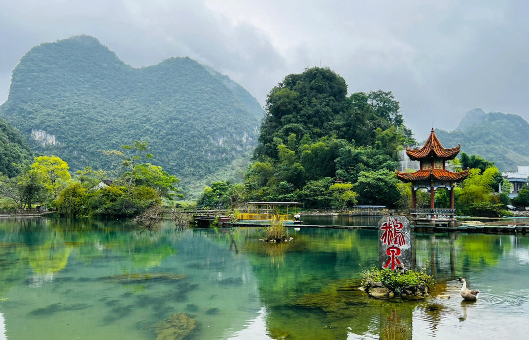 靖西鹅泉景区介绍图片