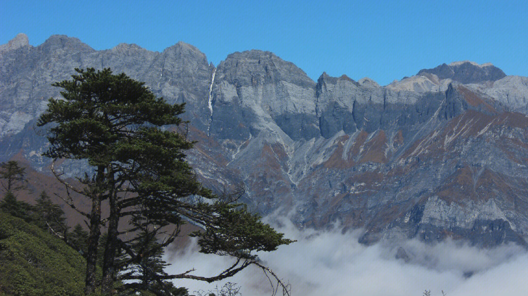 二郎山喇叭河云海