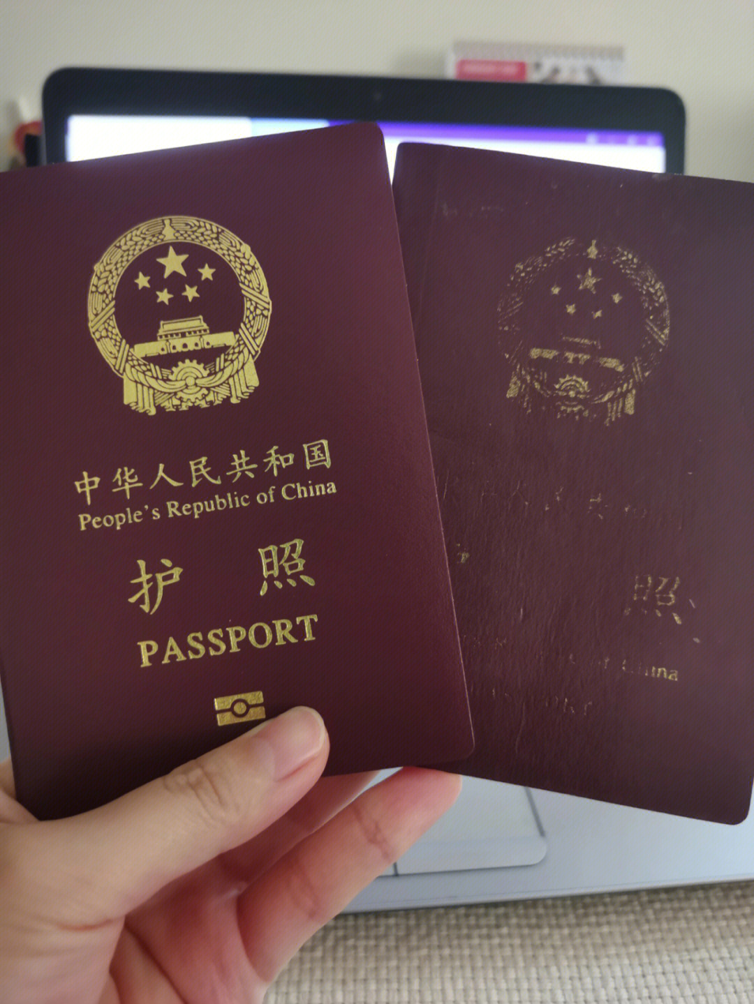 新加坡在线更新换发护照全攻略
