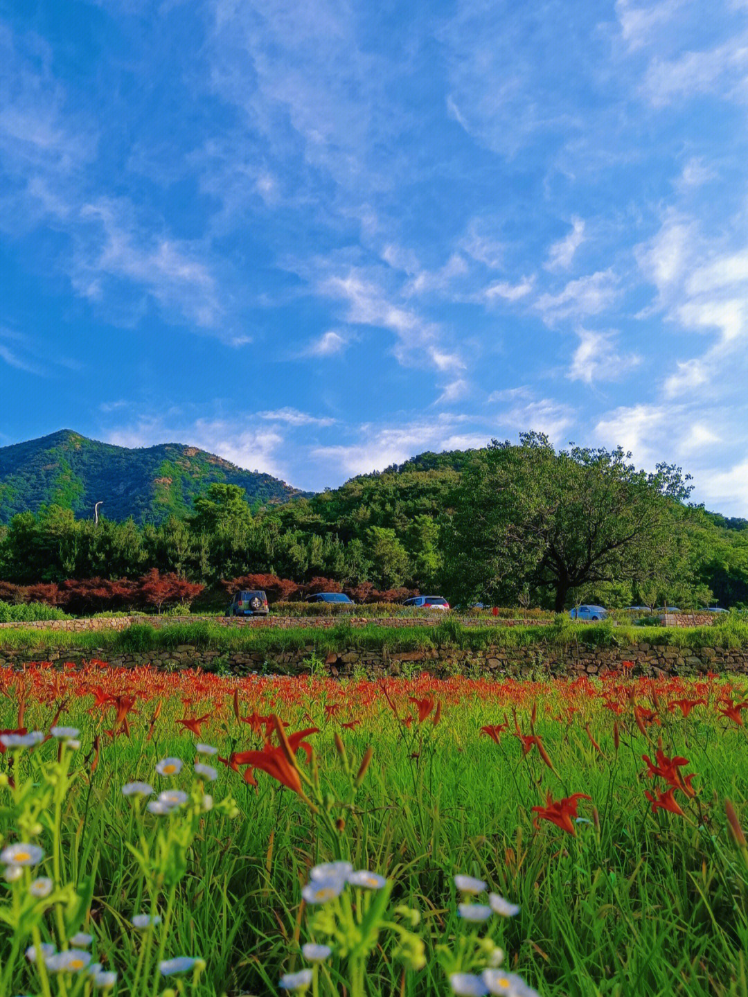 威海里口山风景区攻略图片