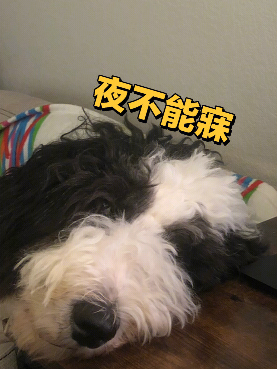 睁着眼睛睡觉