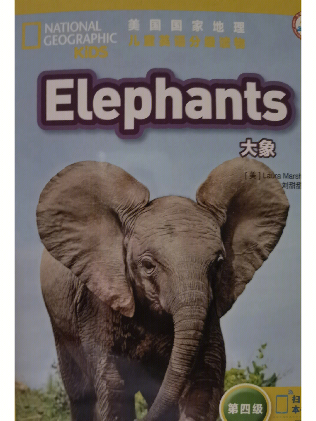 大象电影杂志图片