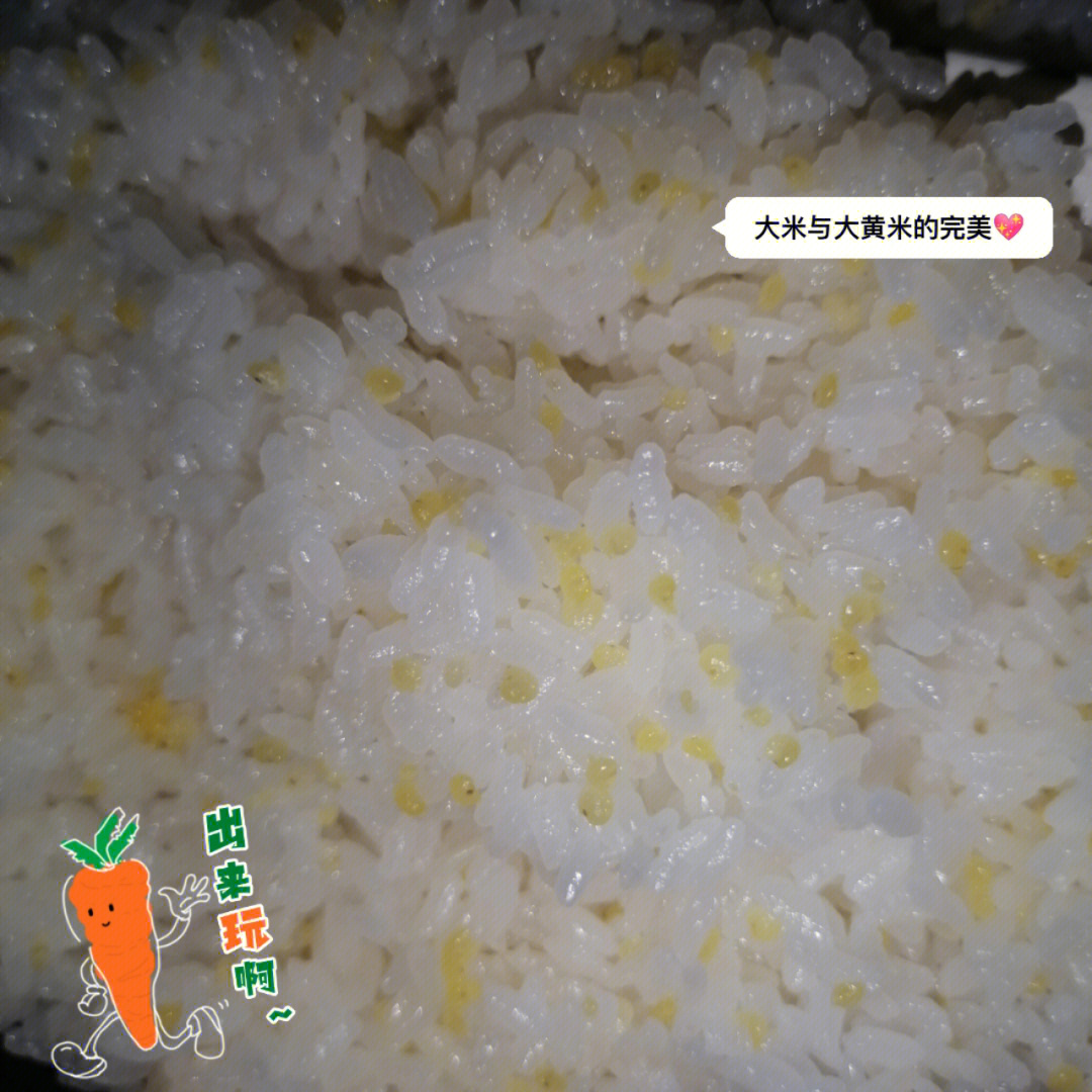 黄米饭一碗黄米几碗水图片