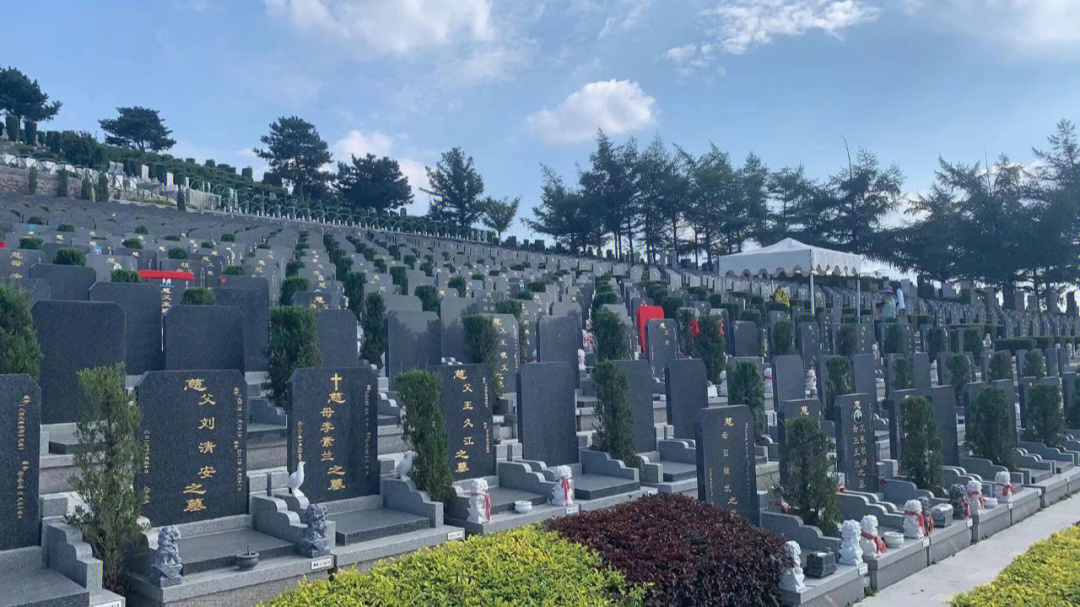 沈阳永乐青山墓园位置图片