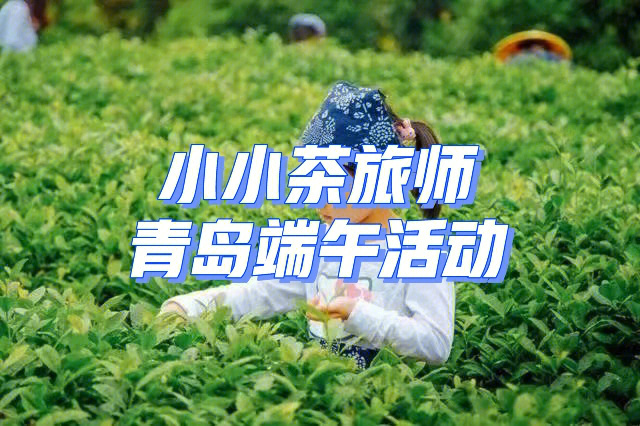 逛茶山穿茶服品茶餐学礼仪小小茶旅师