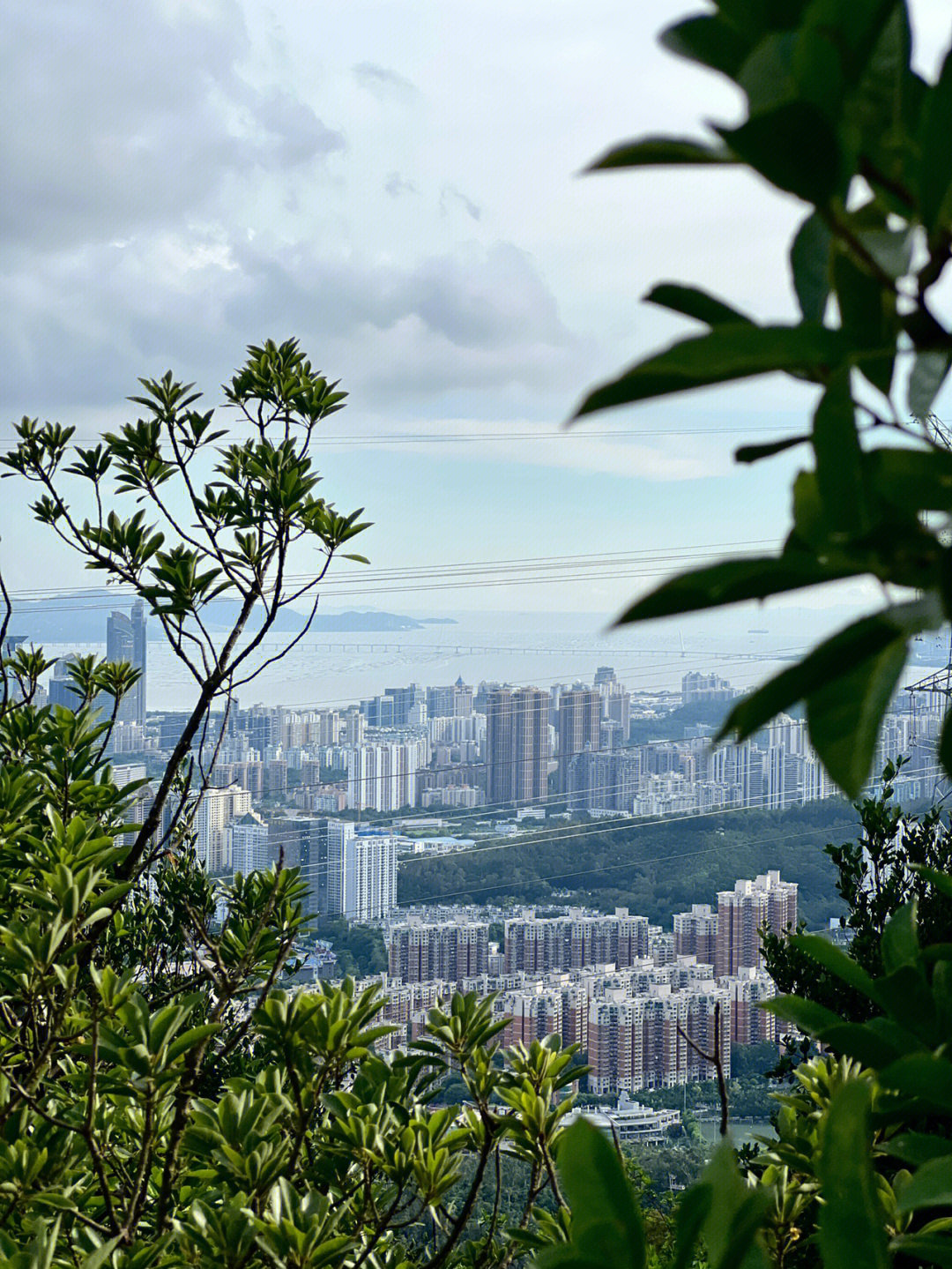 深圳大望山图片