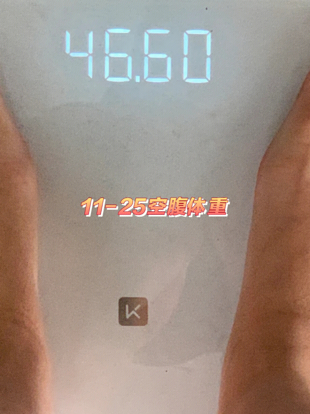 491kg40kg第43天