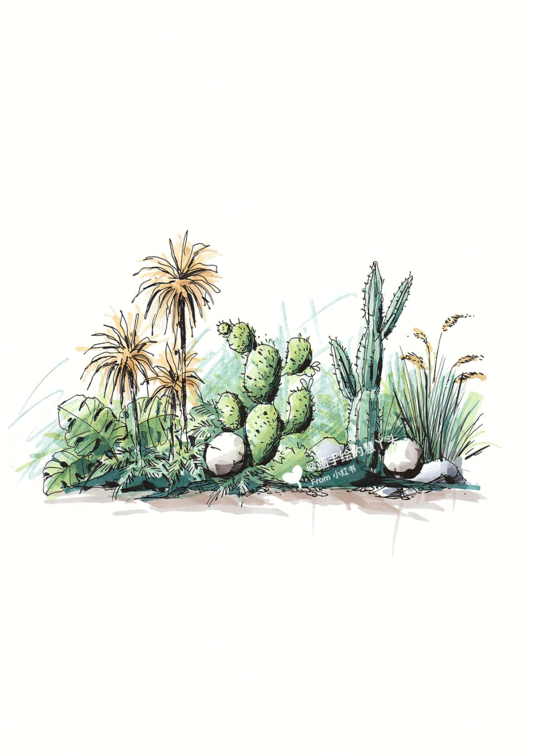 马克笔画植物简单图片