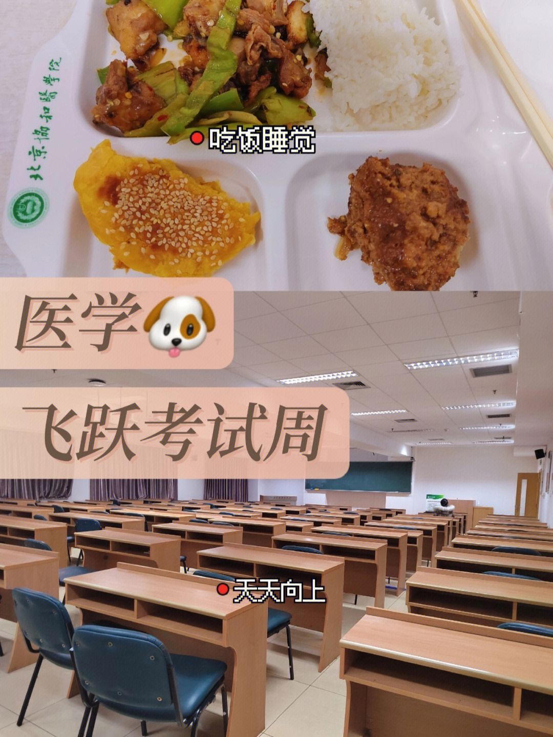 协和医学狗的考试周吃饭睡觉学习学习学习