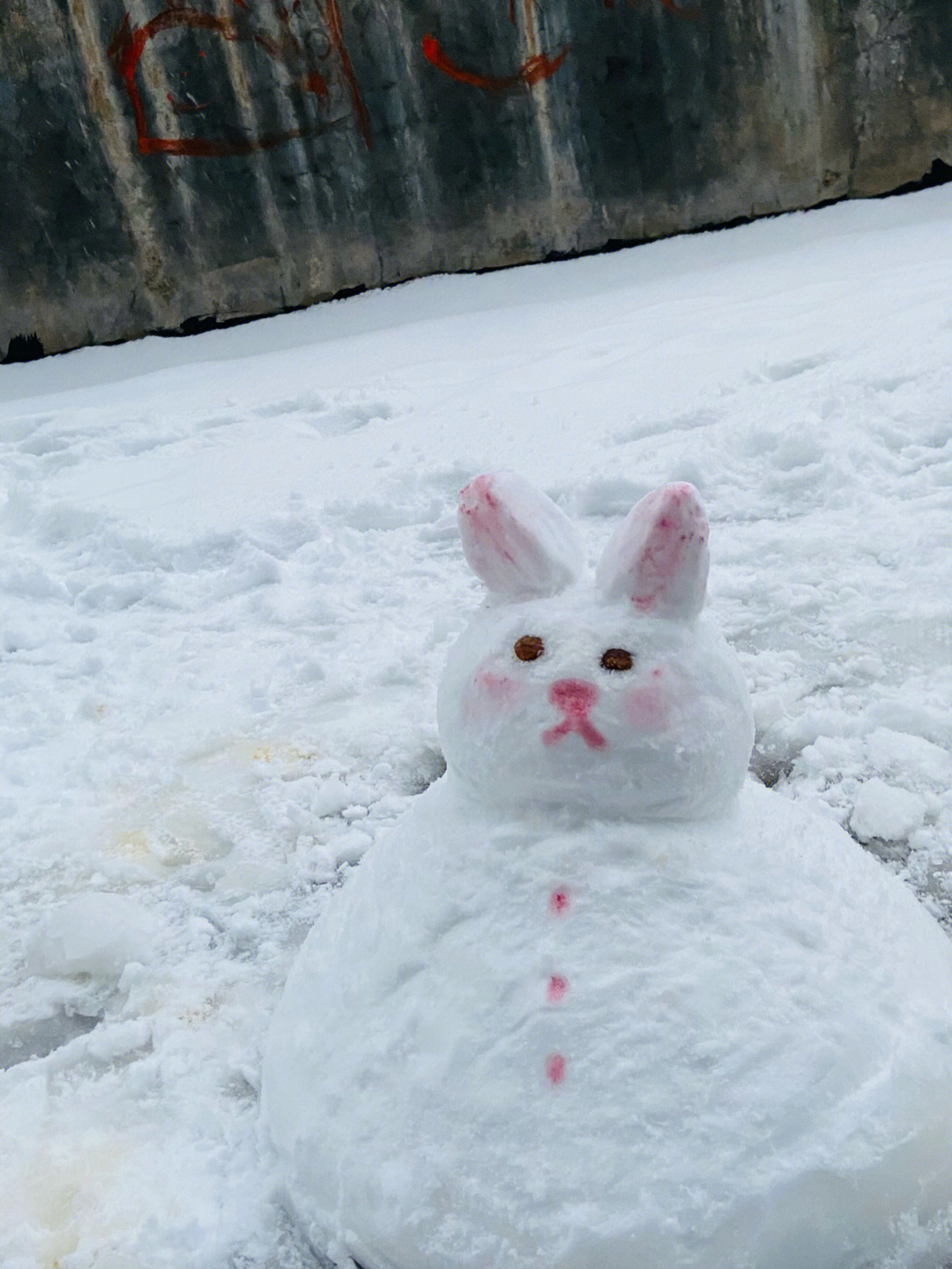 雪堆的兔子图片