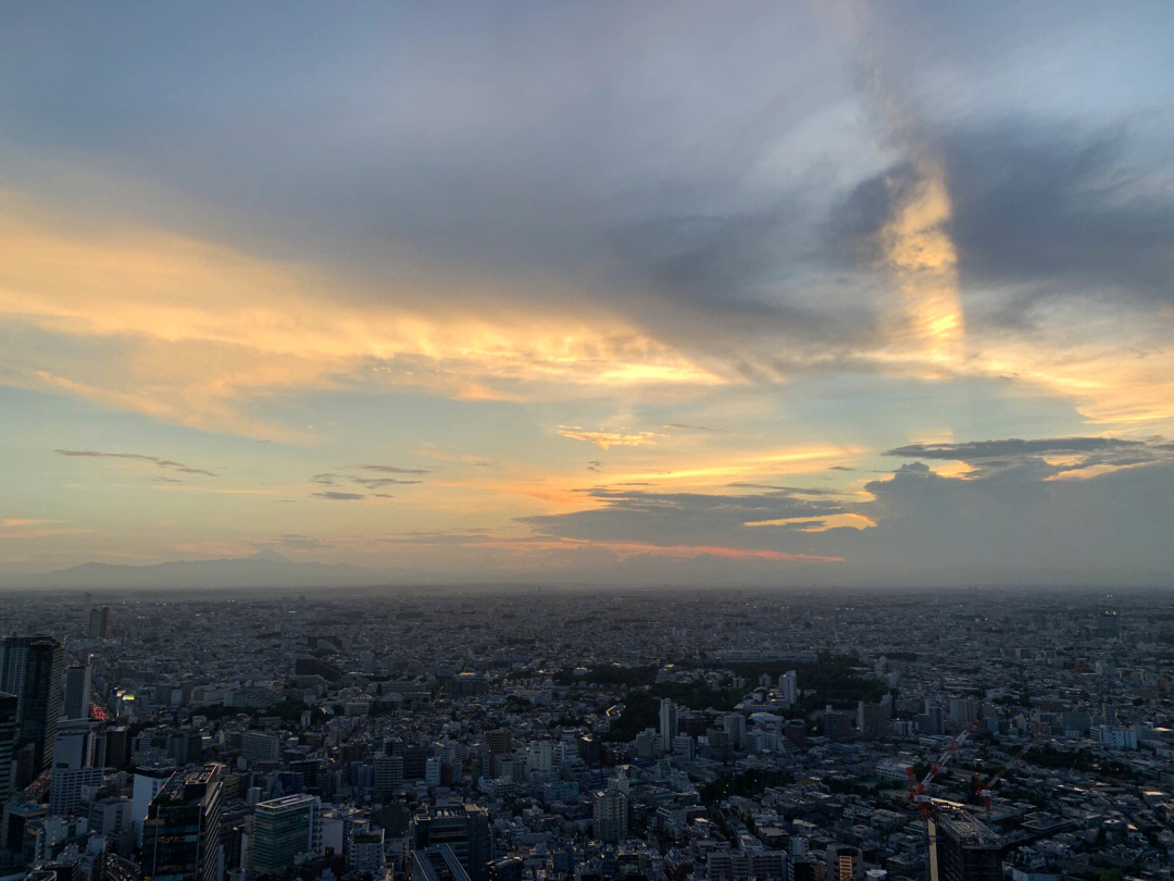 渋谷sky