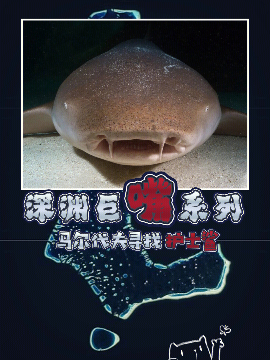 catshark猫鲨的作品图片