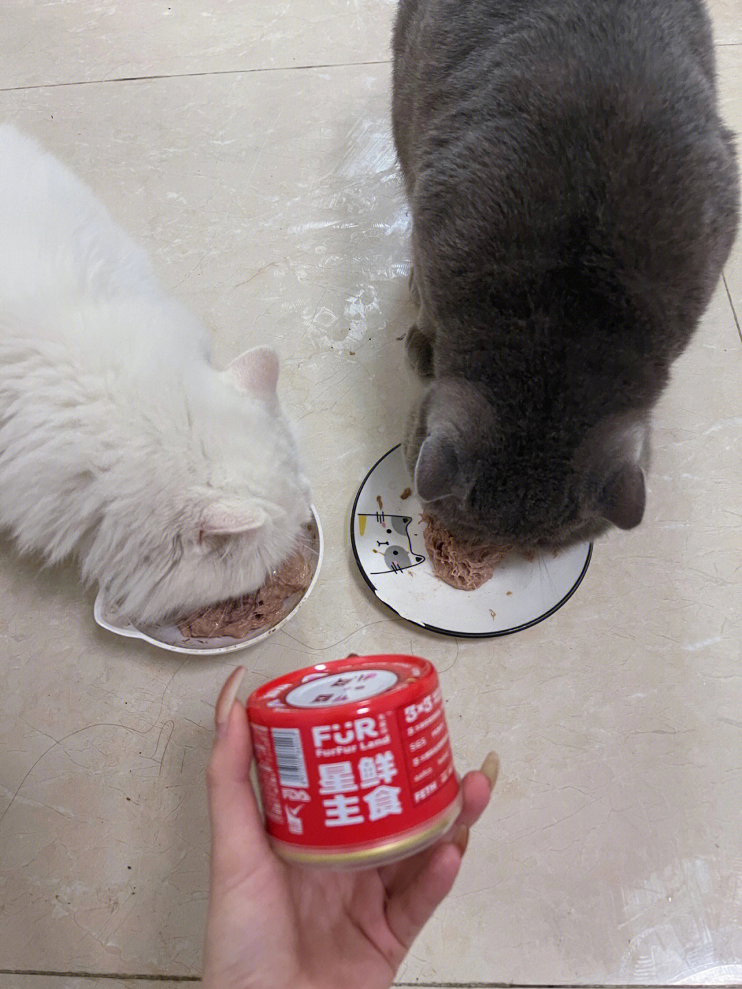 猫猫主食罐头推荐毛星球猫罐头