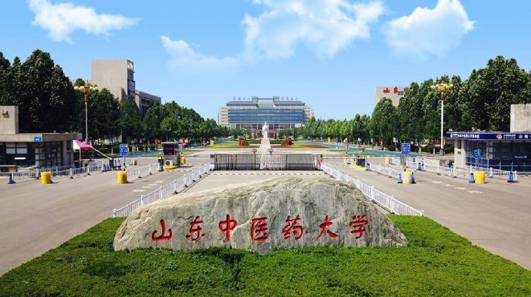 山东中医药大学