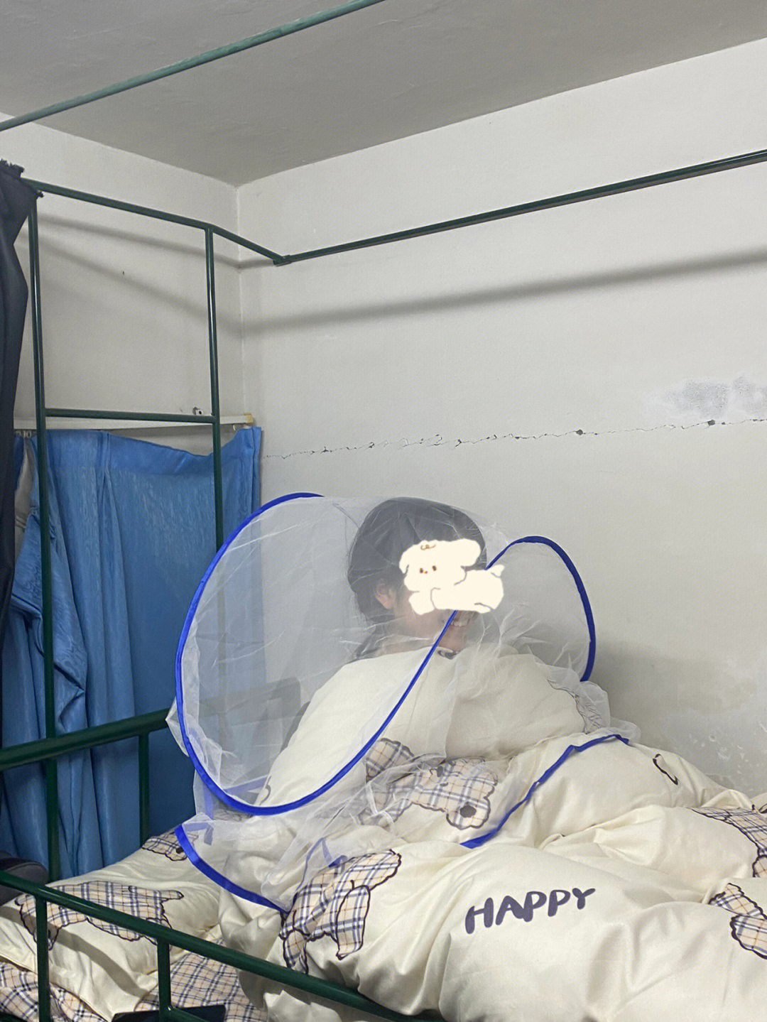 奇葩蚊帐图片