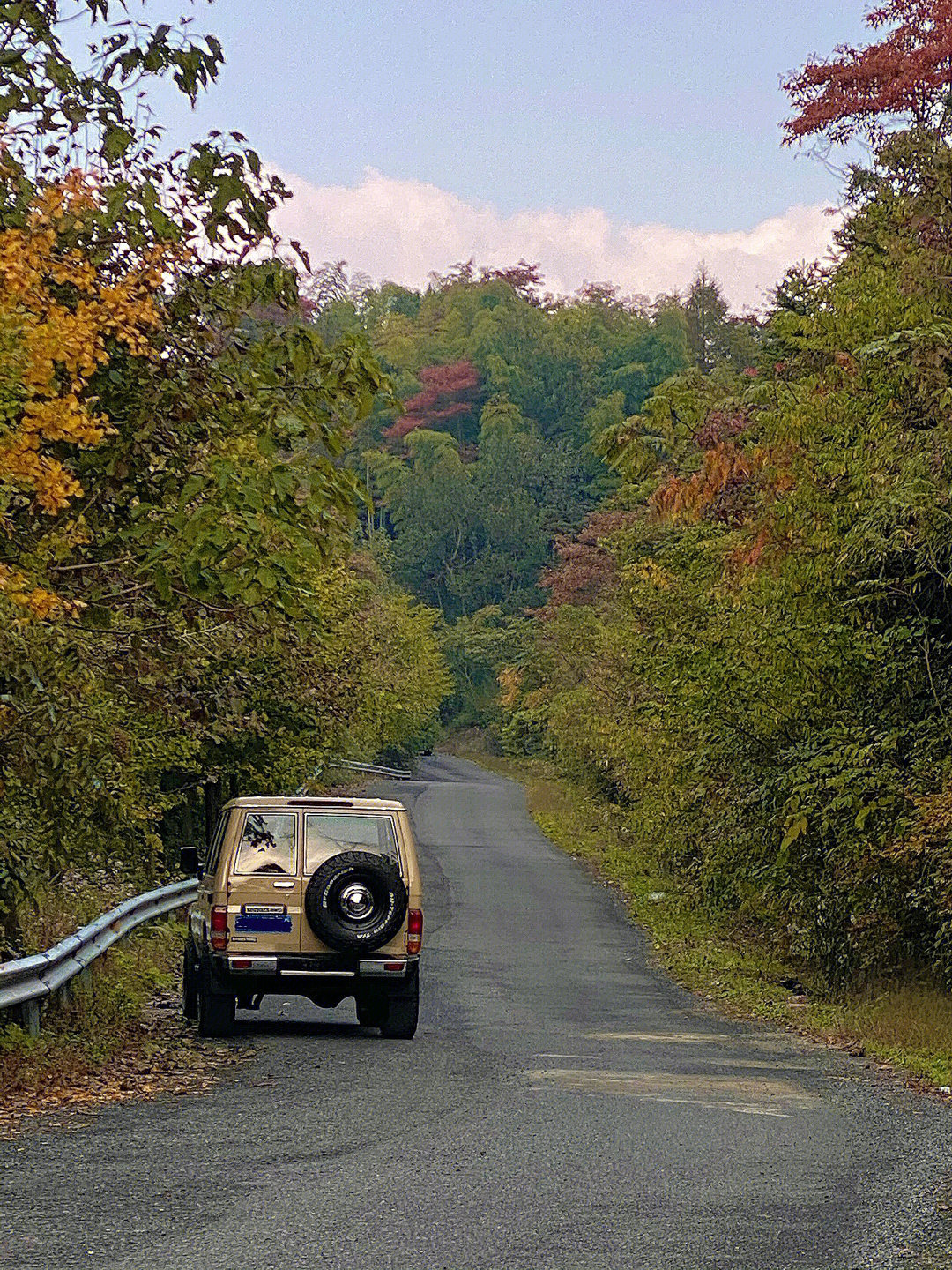 秋日里的一条美丽山路