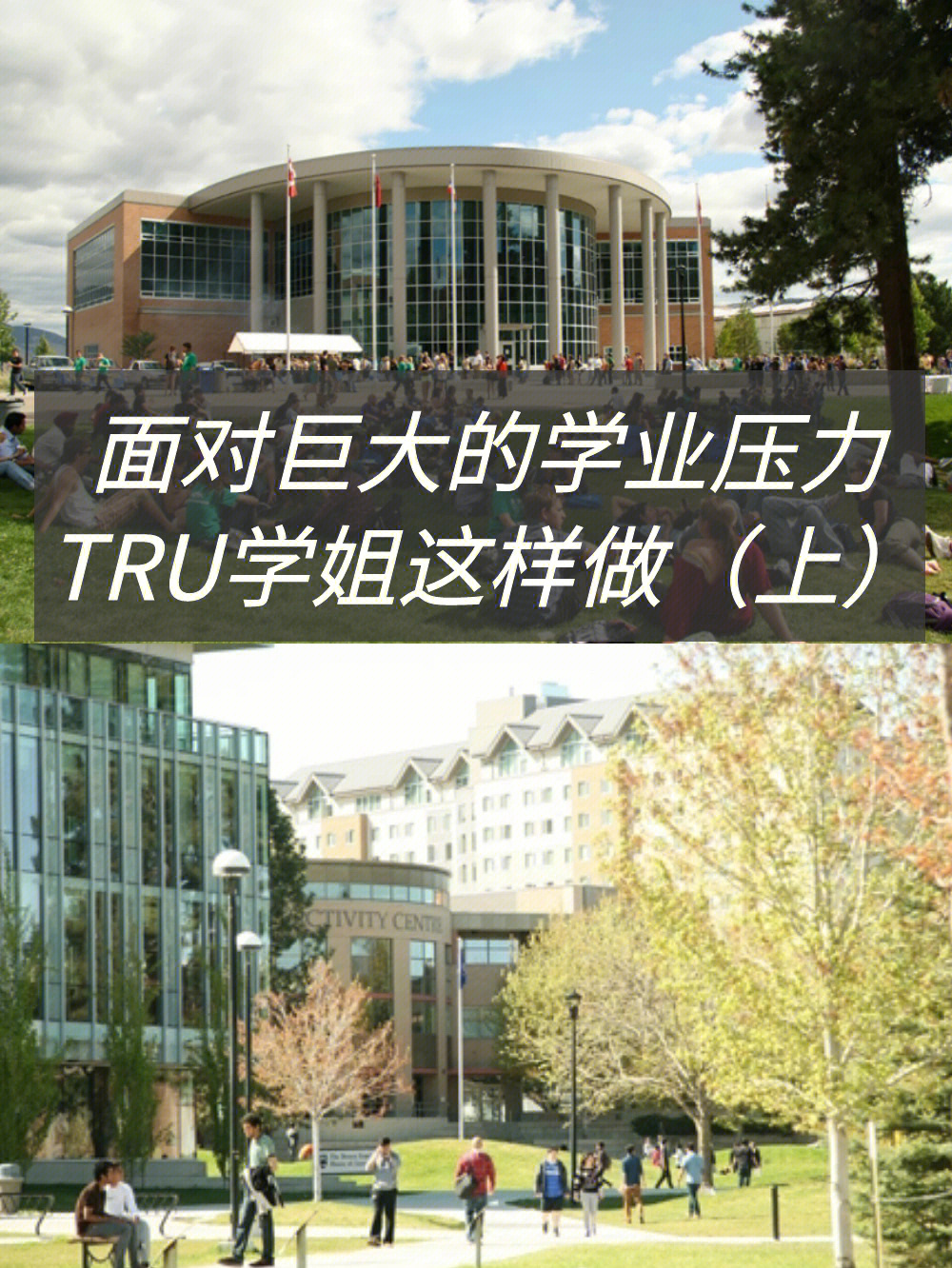 汤姆逊河大学图片