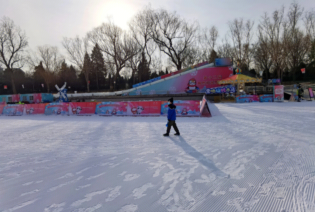 陶然亭公园滑雪场图片