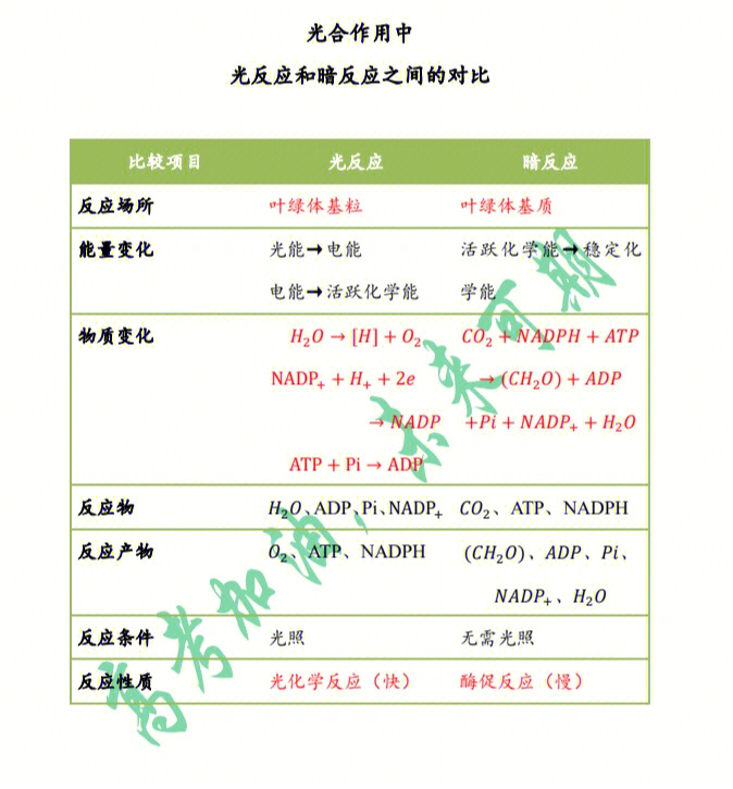 光反应暗反应场所图片