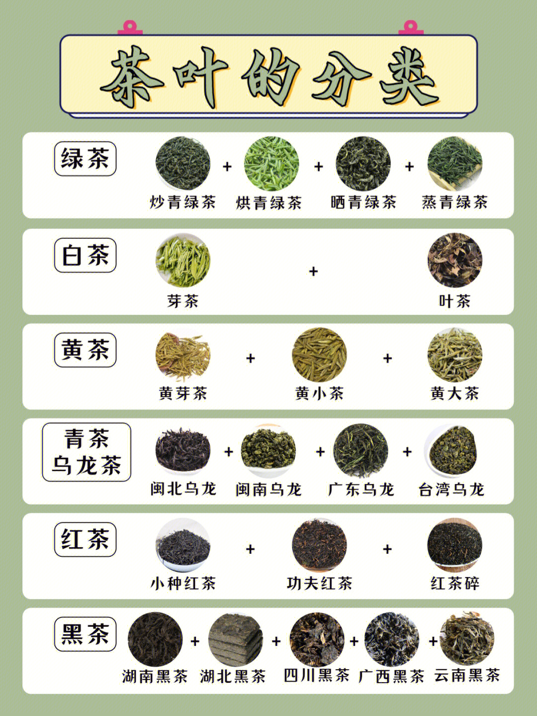 20种茶叶看图认茶七种图片