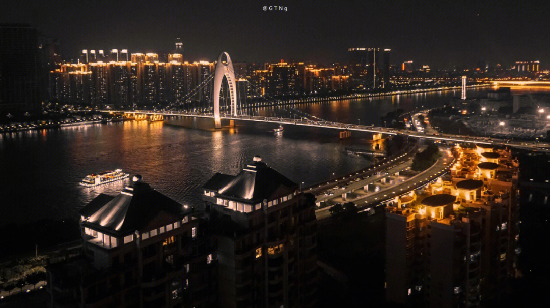 珠江帝景夜景图片