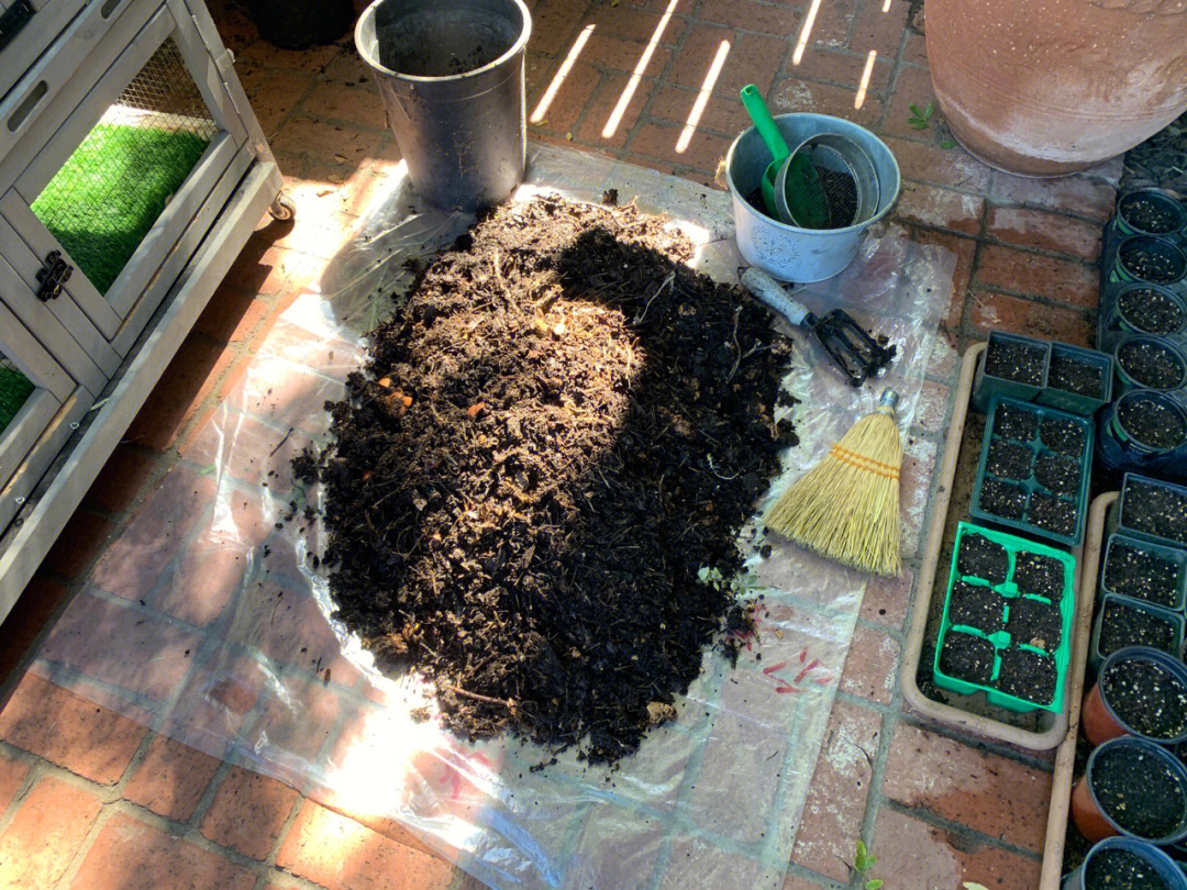 蚯蚓堆肥收获蚯蚓肥