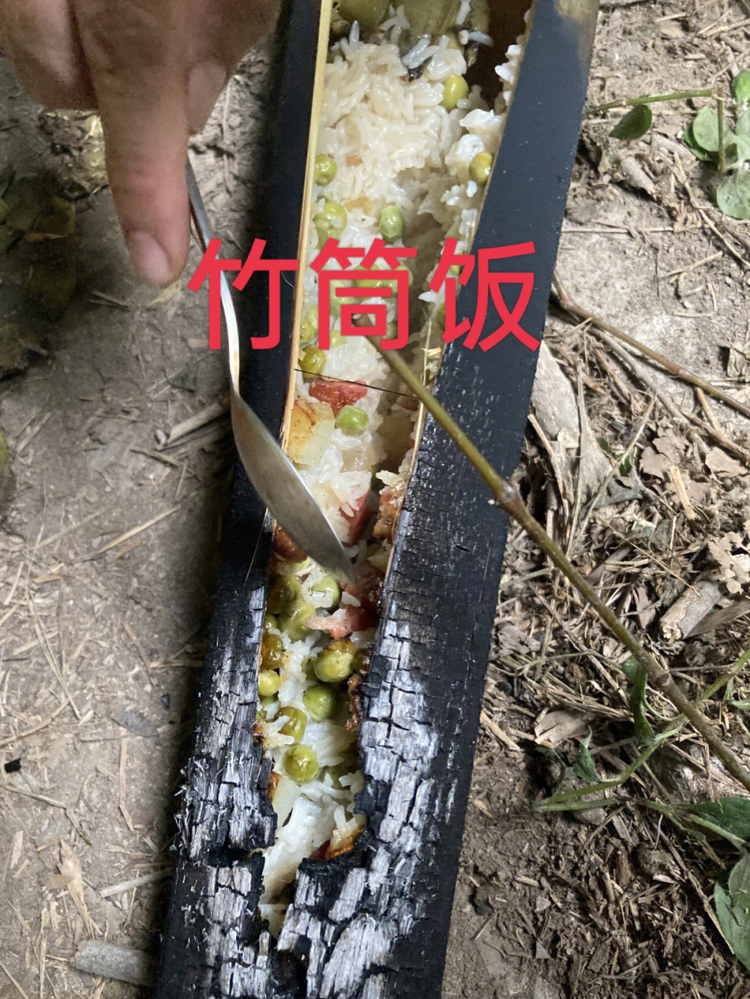 儿时的竹筒饭