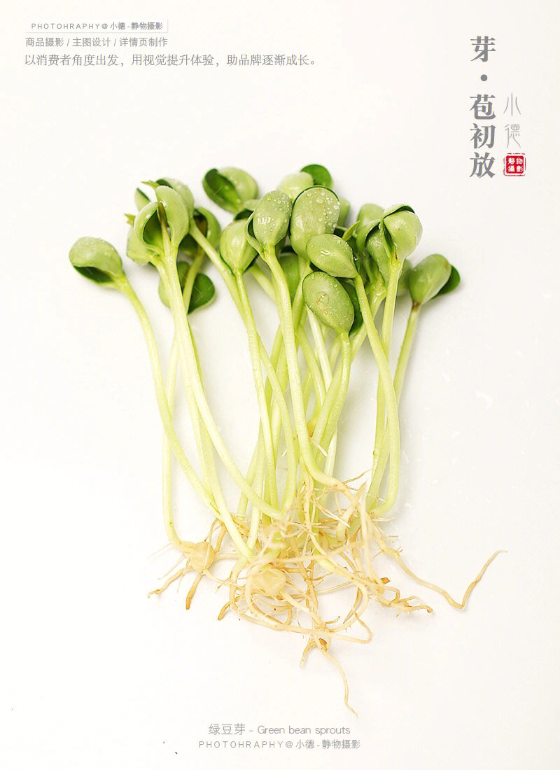 蔬菜绿豆芽黄豆芽素材