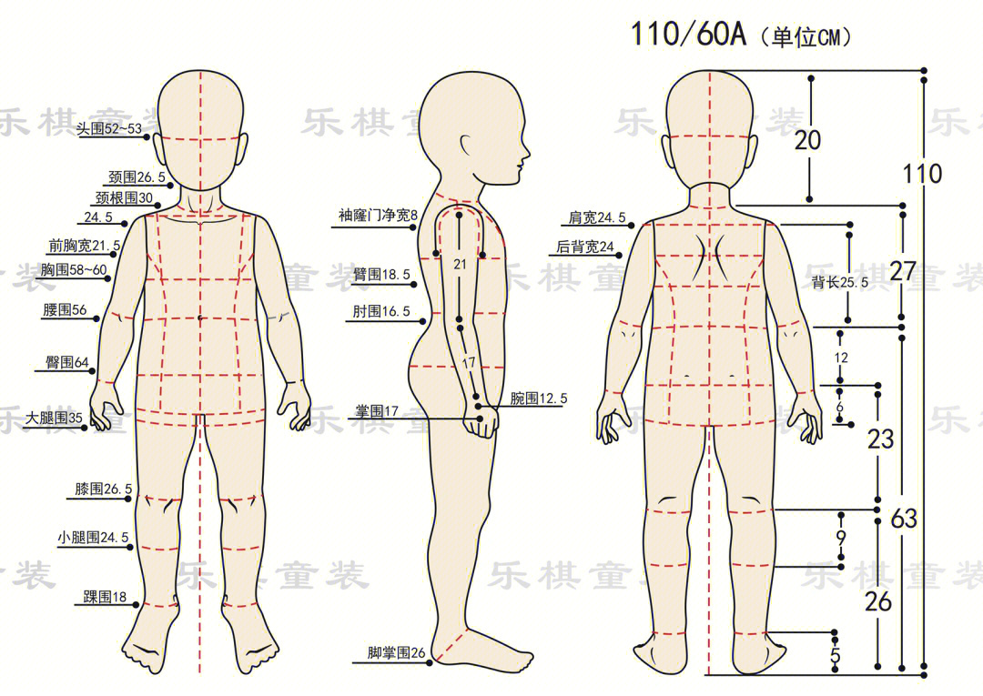 男士人体净尺寸图片