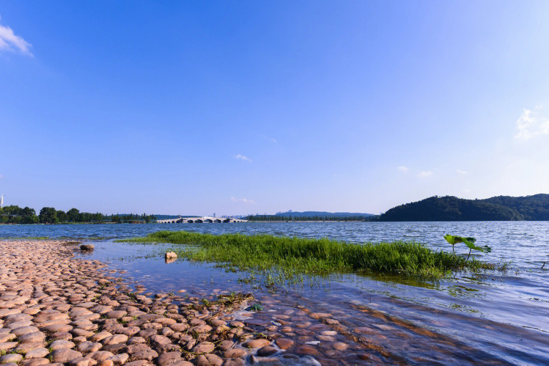 东湖落雁景区图片