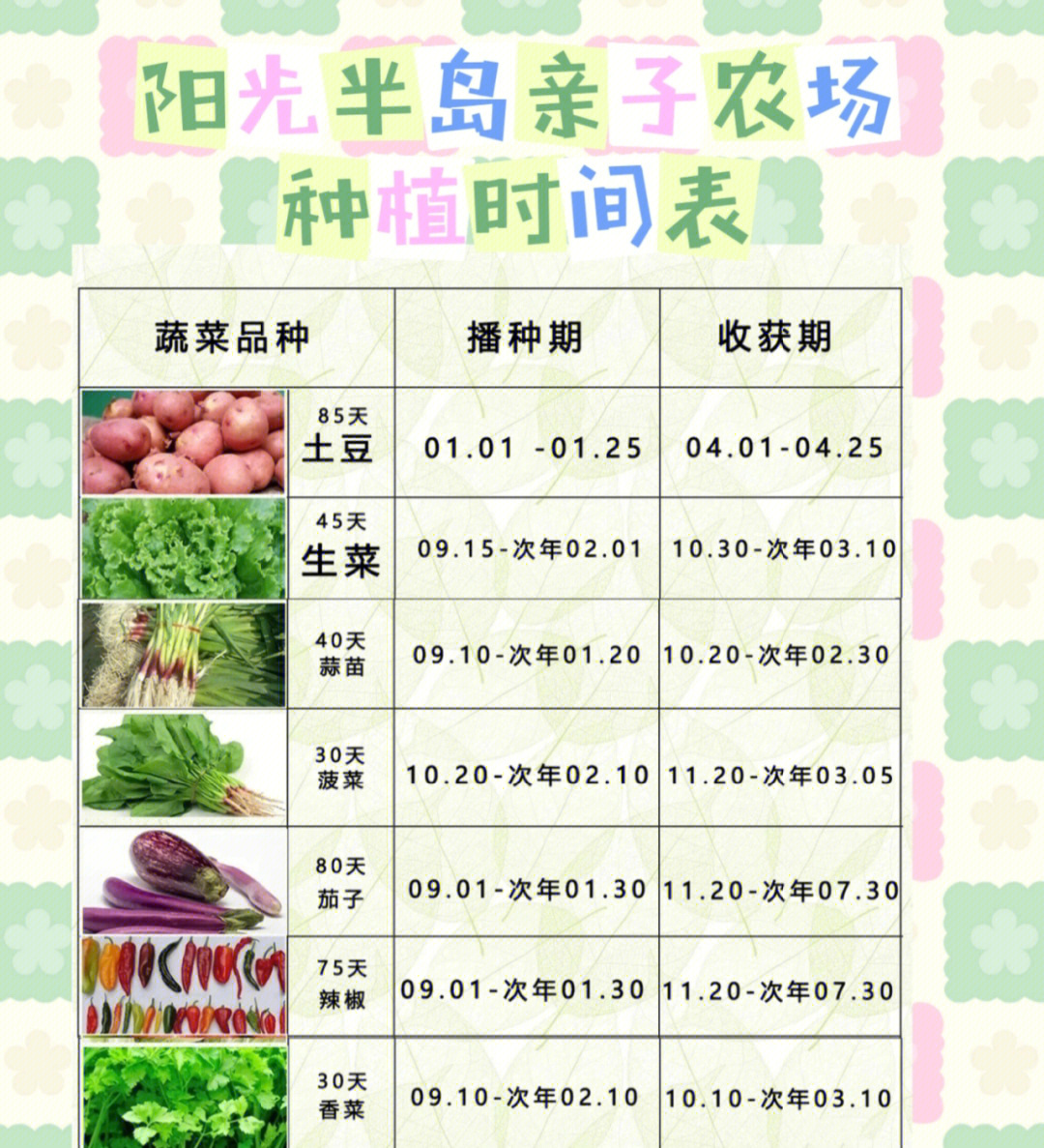 蔬菜一年四季种植表图片