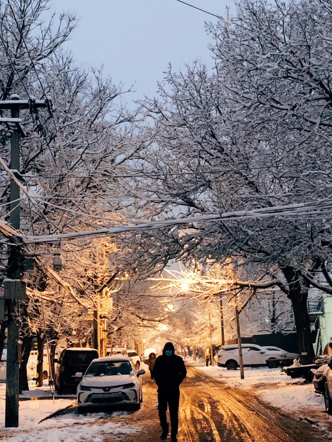 雪色图片