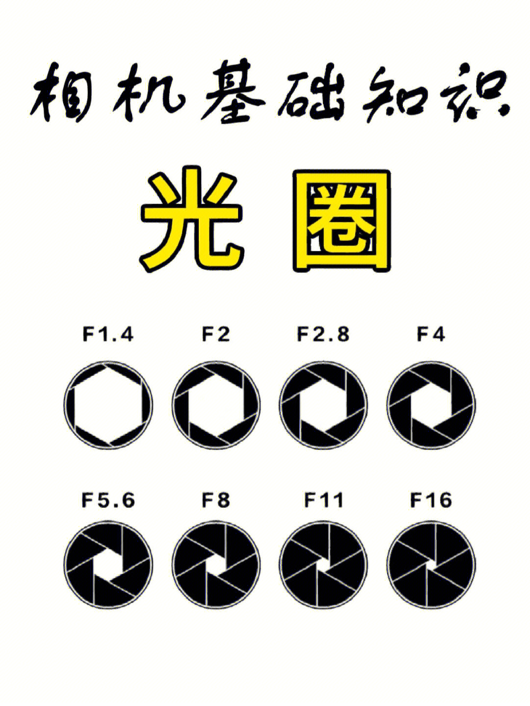 图片的基本要素图片