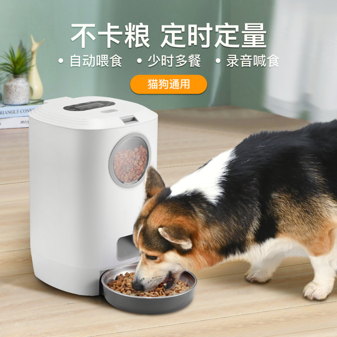 宠物喂食器