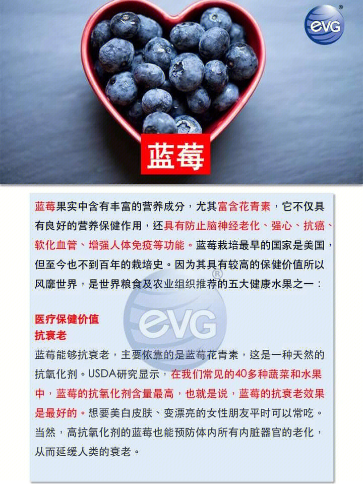 高营养的蓝莓