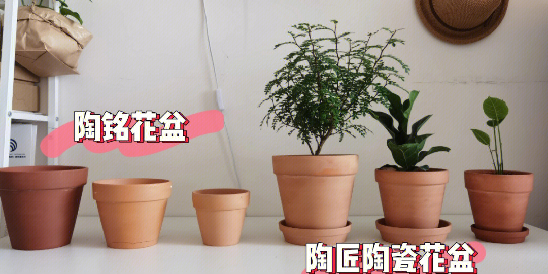 陶瓷花盆优缺点图片