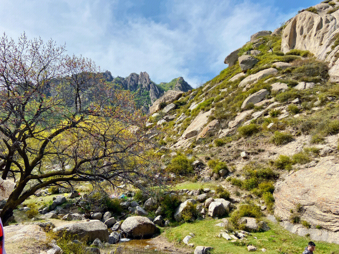 从大同市区出发,车程两小时左右,就来到了莲花山景区,景区完全免费