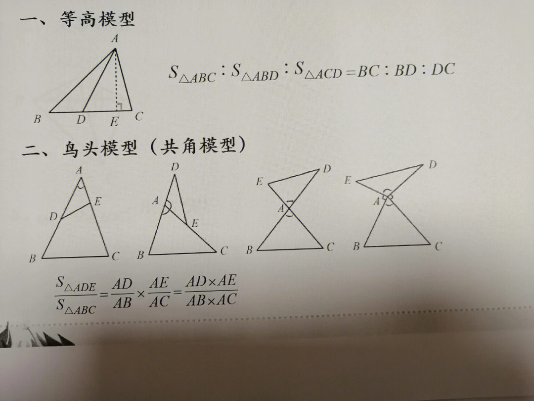 鸟头模型的公式图片