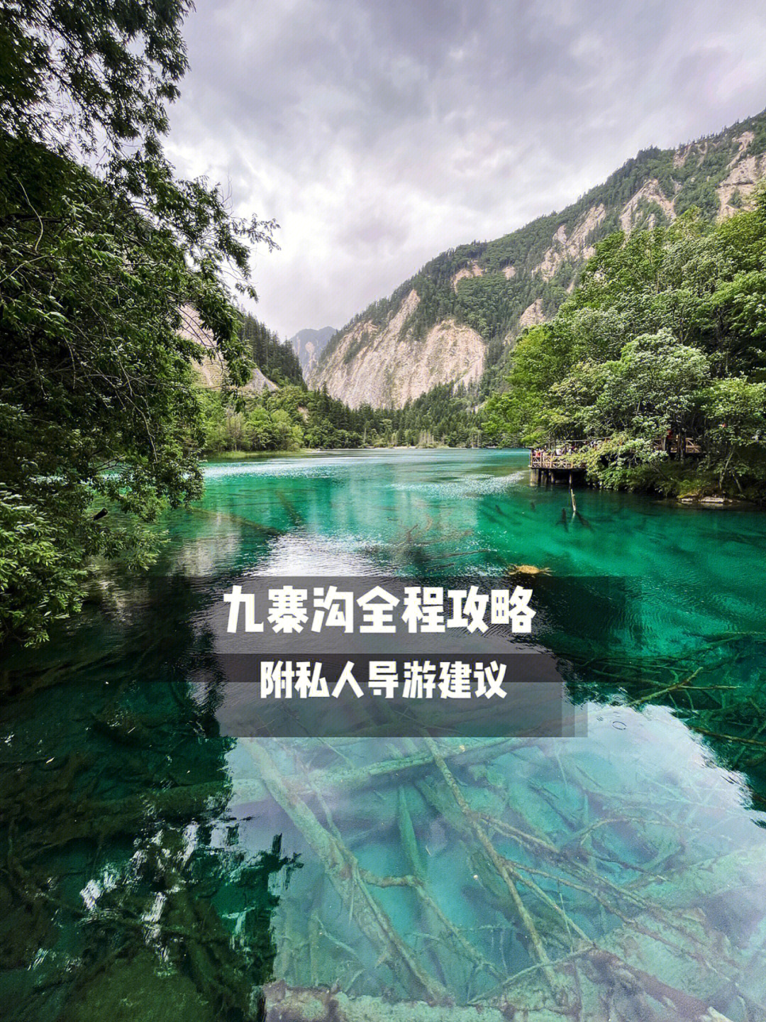 九寨沟金牌导游图片